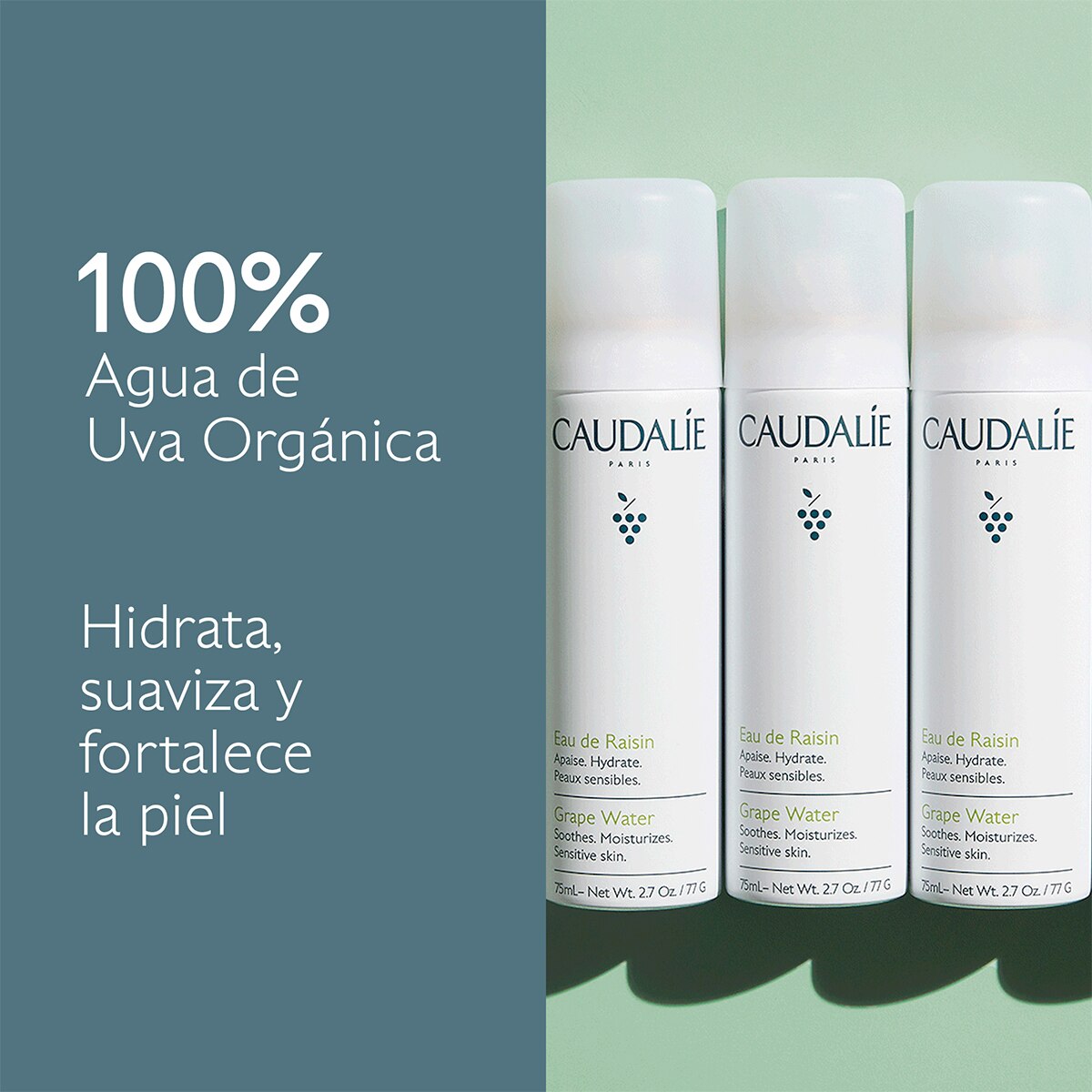 BRUMA FACIAL DE UVA